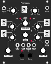 Grayscale Alternate Panel: Make Noise Phonogene (Black)